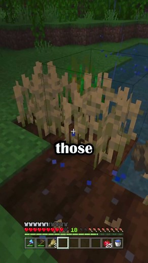 Minecraft Seed Farming Tips