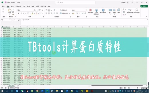 TBtools计算蛋白质特性