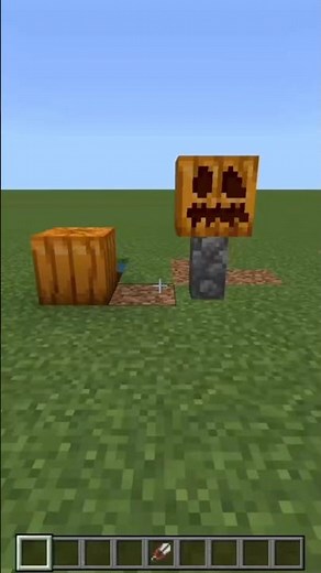 Comment faire une Citrouille sculptée Minecraft Tuto #12