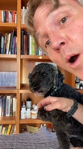 71K views · 1.4K reactions | How to trim dog nails without causing them to bleed #dognails #nailtrim #doghelp | Daily Pet Tips | Facebook