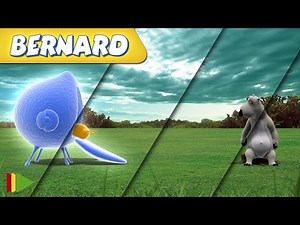 BERNARD | Collections 46 | Complete series | Drawings for children