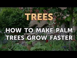 How to Make Palm Trees Grow Faster