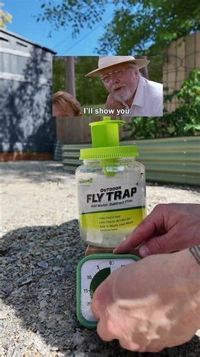 Get rid of flies in a hurry!