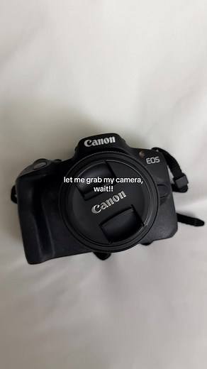 Top Photography Moments Captured with Canon EOS R50