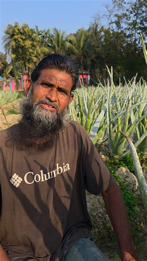 ৩০ বছর বাঁচে এ্যালোভেরা গাছ। #agriculture #farming
