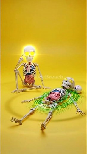 Why Silent Farts Are Deadly But Loud Ones Aren’t?