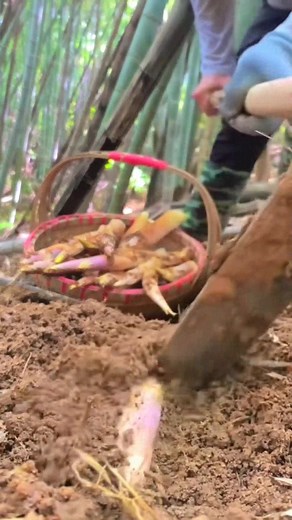 #rurallife #vegetables #naturelife #foryou | applebanana