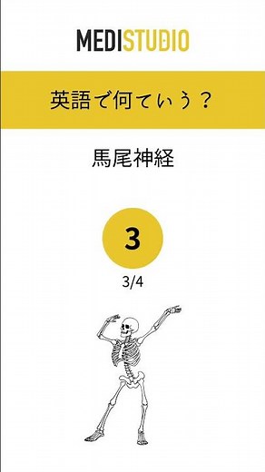 医療英語クイズ #66 人体各器官の名称(筋肉・腱・靭帯編)｜体の部位の名称をどこまで英語で言える？ #看護師 #雑学
