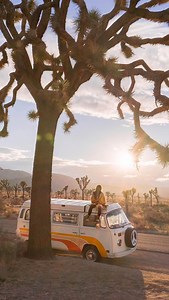 Sunsets, cacti and mountains inside Joshua Tree Park