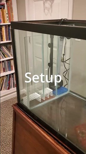 How to Build an Internal Aquarium SUMP