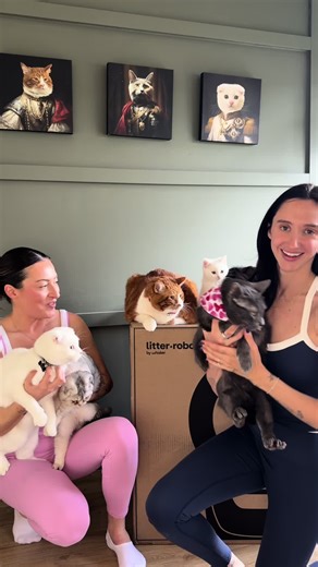 Why Switching to Litter Robot Was the Best Decision