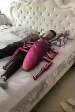 Giant cockroach prank DON'T LAUGH