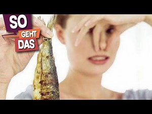 Warum stinken Pussys nach Fisch?