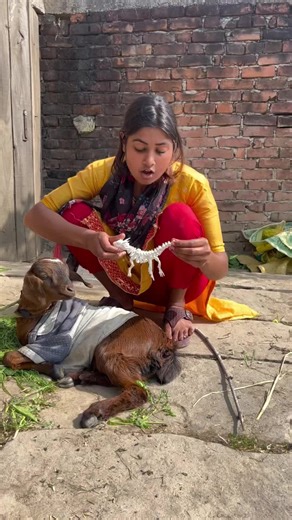 Google Vfx (@google.vfx27)’s videos with original sound - Google Vfx