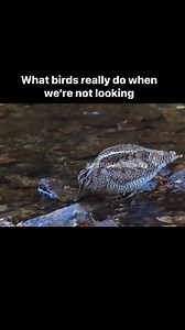 So this is what they’re really thinking? | Impetuous_93comedy