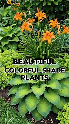 NO SUN? Grow THESE Beautiful Shade Plants 😳🌿 (Colorful & Easy!) #plants #gardentips #plantingideas