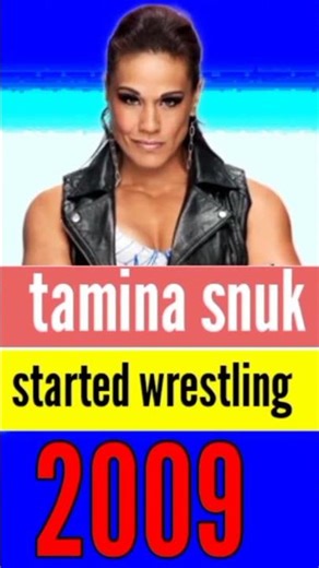 top 100 WWE Superstars and the Year of their career