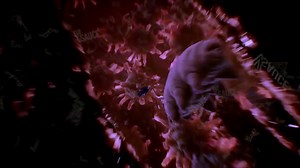 Spit facts on a whole other level | The Switch