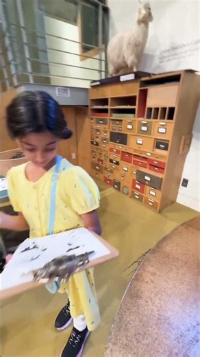 🦕A Roaring Adventure at the American Museum of Natural History