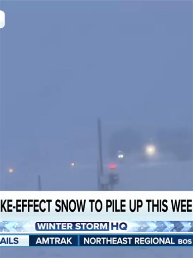 Lake-Effect Snow Alerts for Eastern Lake Michigan