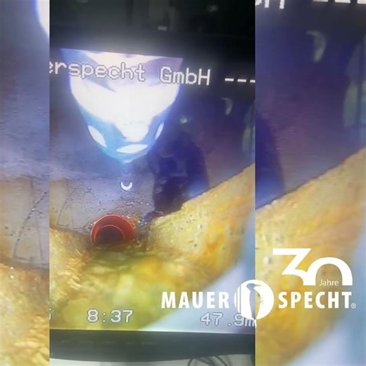 Drain-Jet Robotics® - visit from a beaver