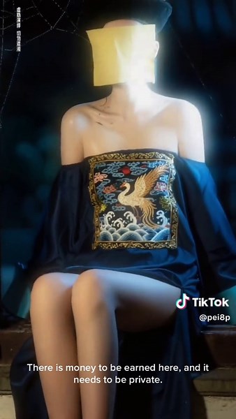 Private TikTok Mall Tutorial for Earning Money