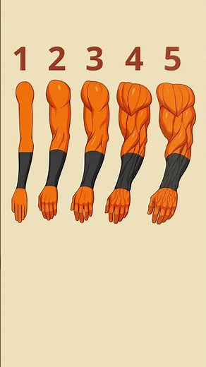 Arm Levels Ranked – Which One Are You?