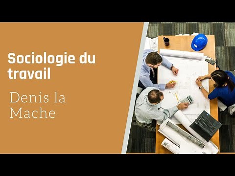 The sociology of work