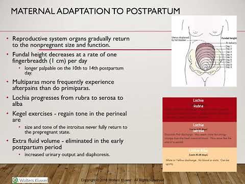 Post Partum
