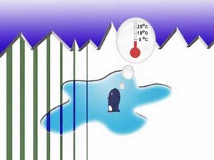 What are reversible and irreversible changes Video Lecture - Class 6