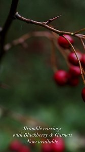 2.1K views · 60 reactions | Blackberry ~Smeara Dubh. Language of Flowers & Symbolism: Healing, beauty, love, protection, remorse | Ruby Robin Boutique | Facebook