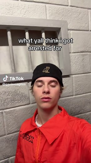 What Did Gavin Magnus Get Arrested For?