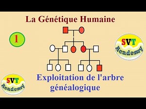 1- La génétique humaine - Exploitation de l'arbre généalogique - SVT BAC
