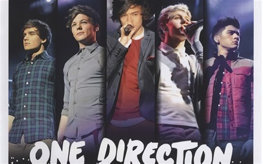 单向组合 One Direction - Up All Night - The Live Tour 2012