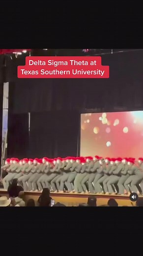 Texas Southern University Delta Sigma Theta Sorority Highlights