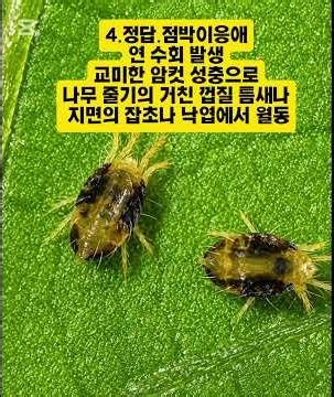 12th Tree Doctor Practical Exam: Tree Pest Identification #TreeDoctor #TreeDoctorWrittenAndPracti...