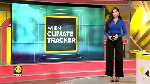 Quadruped robot engages in forest firefighting drill in China