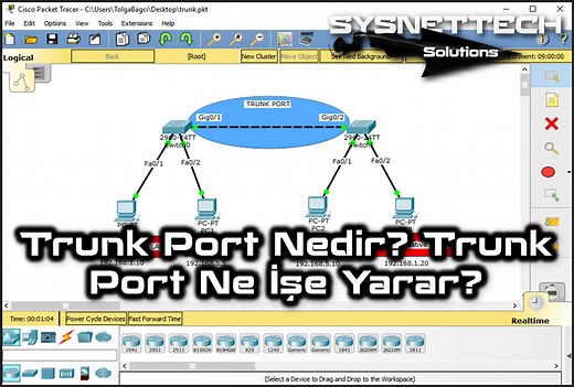 Trunk Port Nedir? | Tanımı & Bağlantısı!