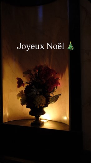 Vanina de Sant Eusebio on Instagram: "En ce soir de réveillon, nous avions envie de dire merci. Merci à toutes celles et ceux qui sont venus à notre rencontre cette année, merci aux visiteurs qui ont franchi les portes du château, merci à celles et ceux qui nous suivent ici, qui partagent, qui commentent, et qui nous adressent des mots d’une gentillesse infinie. Cette année 2025 a été faite de rencontres, de travail dans l’ombre, de moments simples et précieux, et de souvenirs que nous garderons