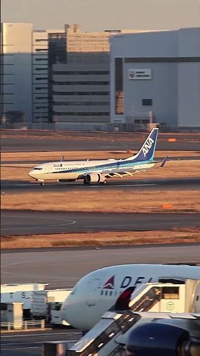 【羽田空港】ANAボーイング737-800 着陸シーン｜夕陽の滑走路へタッチダウン