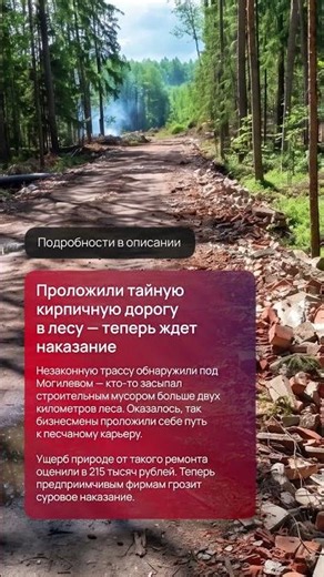 Тайная кирпичная дорога в лесу