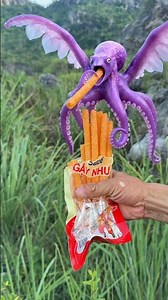How to feed animal food
