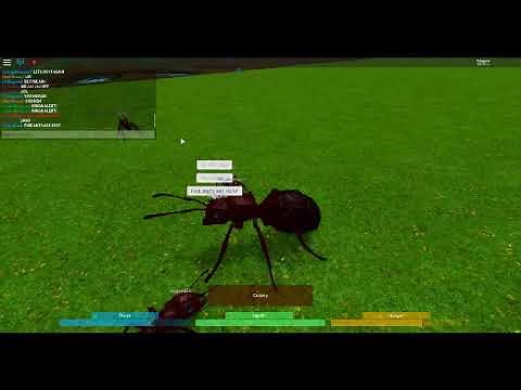 Ant Life Testing Gameplay