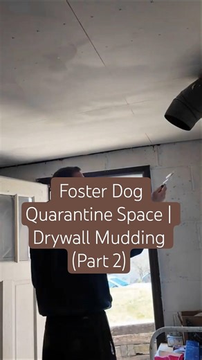 Turning a Room Into a Foster Dog Quarantine Space | Drywall Mudding (Part 2)