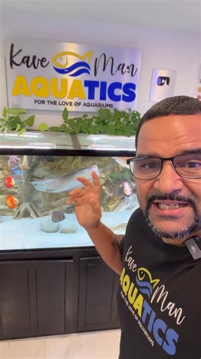 KaveMan Aquatics on Reels