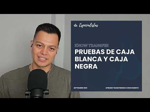Pruebas de CAJA NEGRA, caja BLANCA y caja GRIS | Tester en QArentena