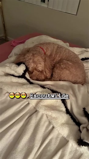 Jane wilde officially (@janewilde077)’s videos with original soundJane wilde officially