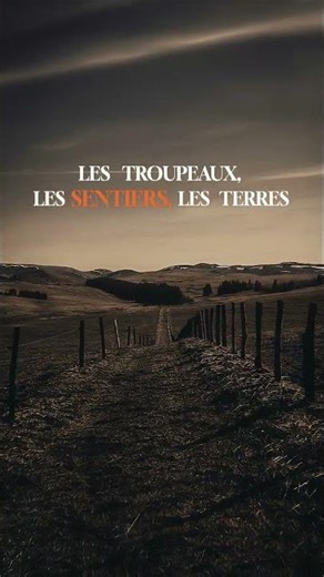 Les Terres du Cézallier 🌿 Nouveau titre de WAZOO #auvergne