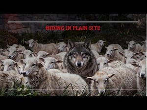 What Is Cybersecurity? (Explained With 2 Real Cyberattacks)