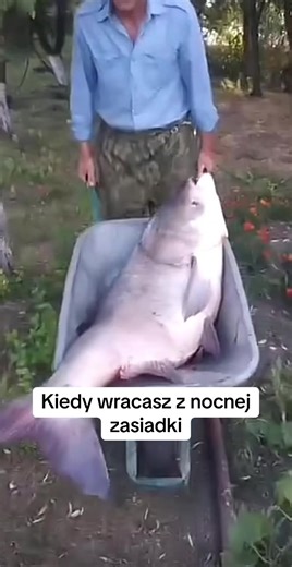 #giant #fish #big #monster #jaws #omg